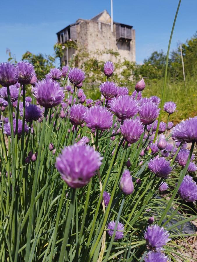Hotel Domaine De La Ferte Clairbois Sainte-Suzanne  Exteriér fotografie